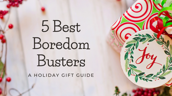 5 Best Boredom Busters: A Holiday Gift Guide